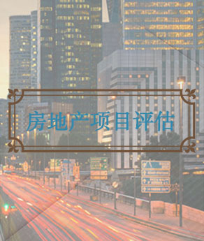 临沂房地产项目评估