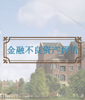 临沂金融不良资产评估